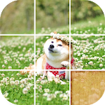 Cover Image of Download Shiba Inu Puzzle-Puzzle Puppies 1.0.3.0727 APK