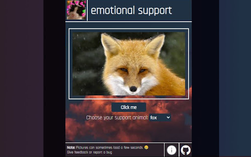 emotional support