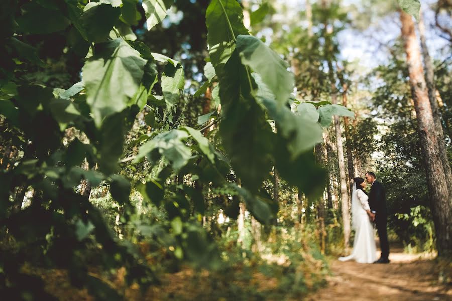 Bryllupsfotograf Dmitriy Moskalenko (moskalenkodmitry). Foto fra september 18 2016