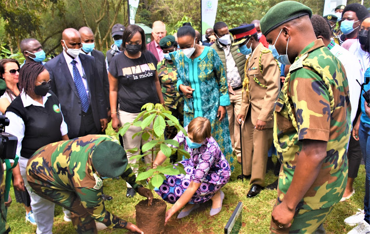 Estonian president Kersti Kaljulaid planting the tree