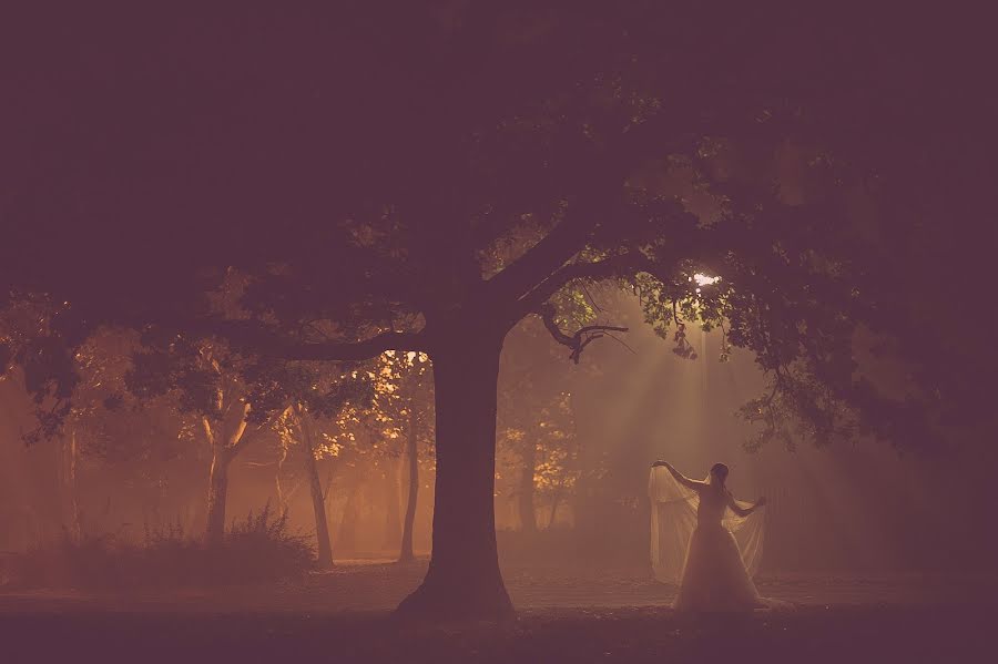 Wedding photographer Tibor Erdősi (erdositibor). Photo of 9 November 2015