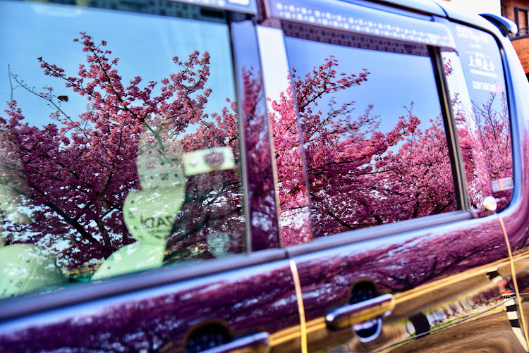 ソリオの河津桜・満開・コラボに関するカスタム事例の投稿画像4枚目