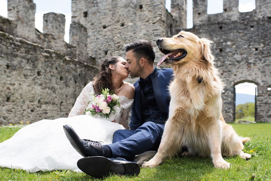 Fotografo di matrimoni Viola Bellotto (violabellotto). Foto del 10 maggio 2019