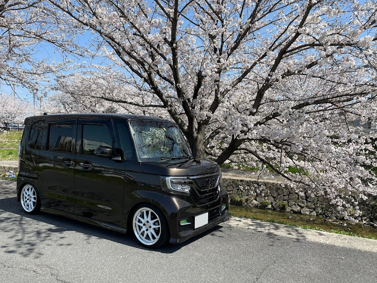 Nボックスカスタムの桜とコラボ・サクラと愛車・目指せPickUpCars・N-BOX・桜に関するカスタム事例の投稿画像1枚目