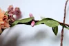 miniatures image - 10