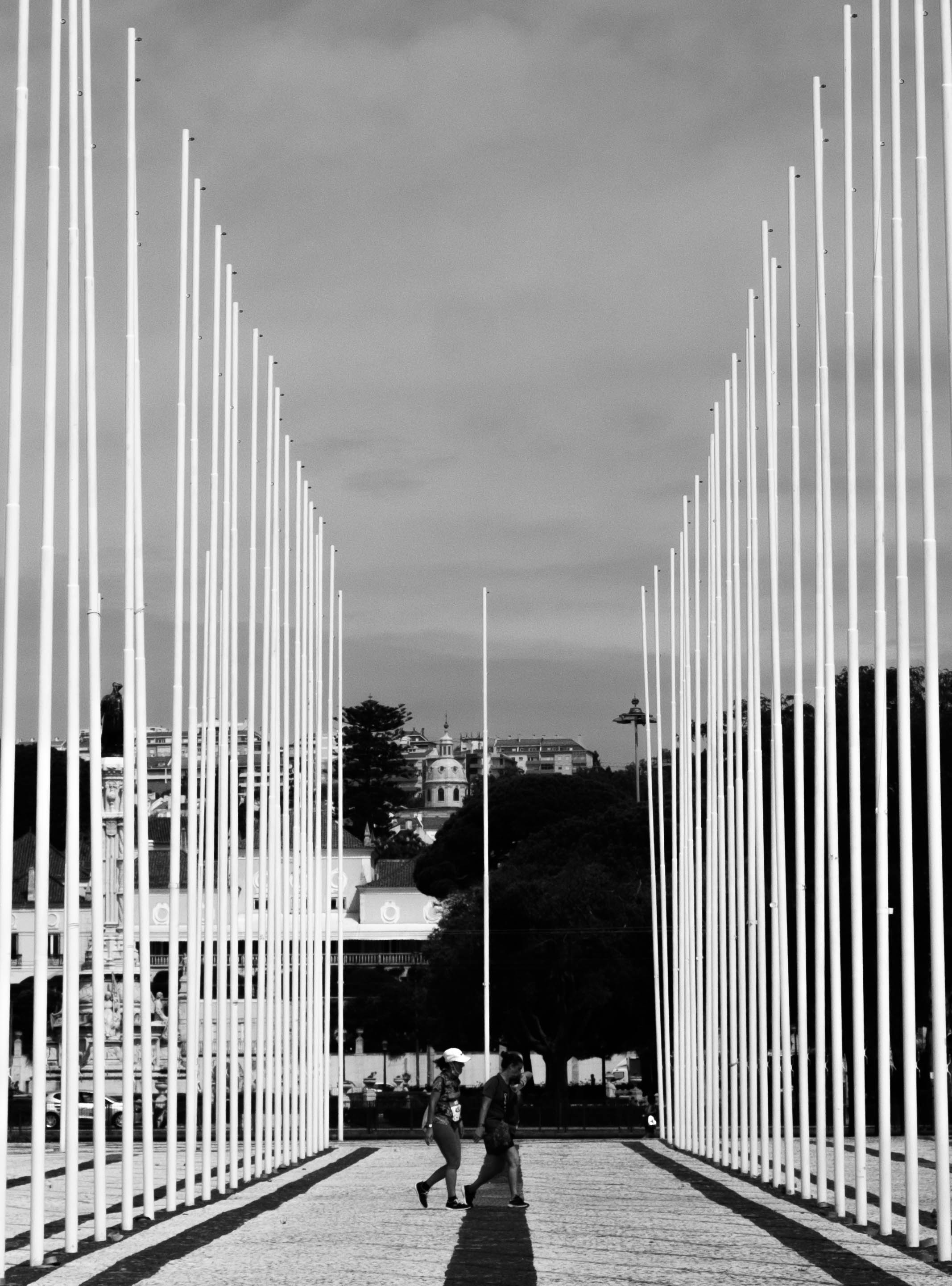 linee bianche verso il cielo  di RitaO