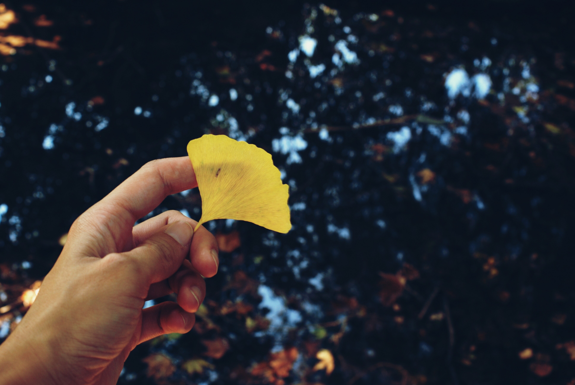 L'autunno della vita di PerEsempio