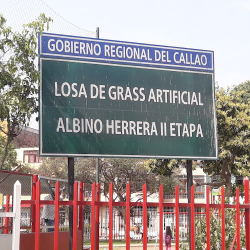 Losa De Grass Artificial Albino Herrera