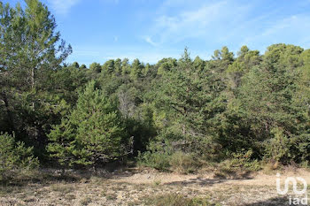 terrain à Saint-Julien (83)