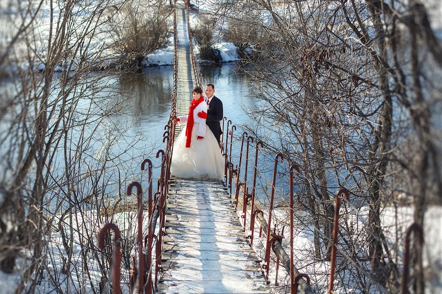 Svatební fotograf Ekaterina Terzi (terzi). Fotografie z 24.února 2015