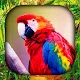 Birds Live Wallpaper Download on Windows