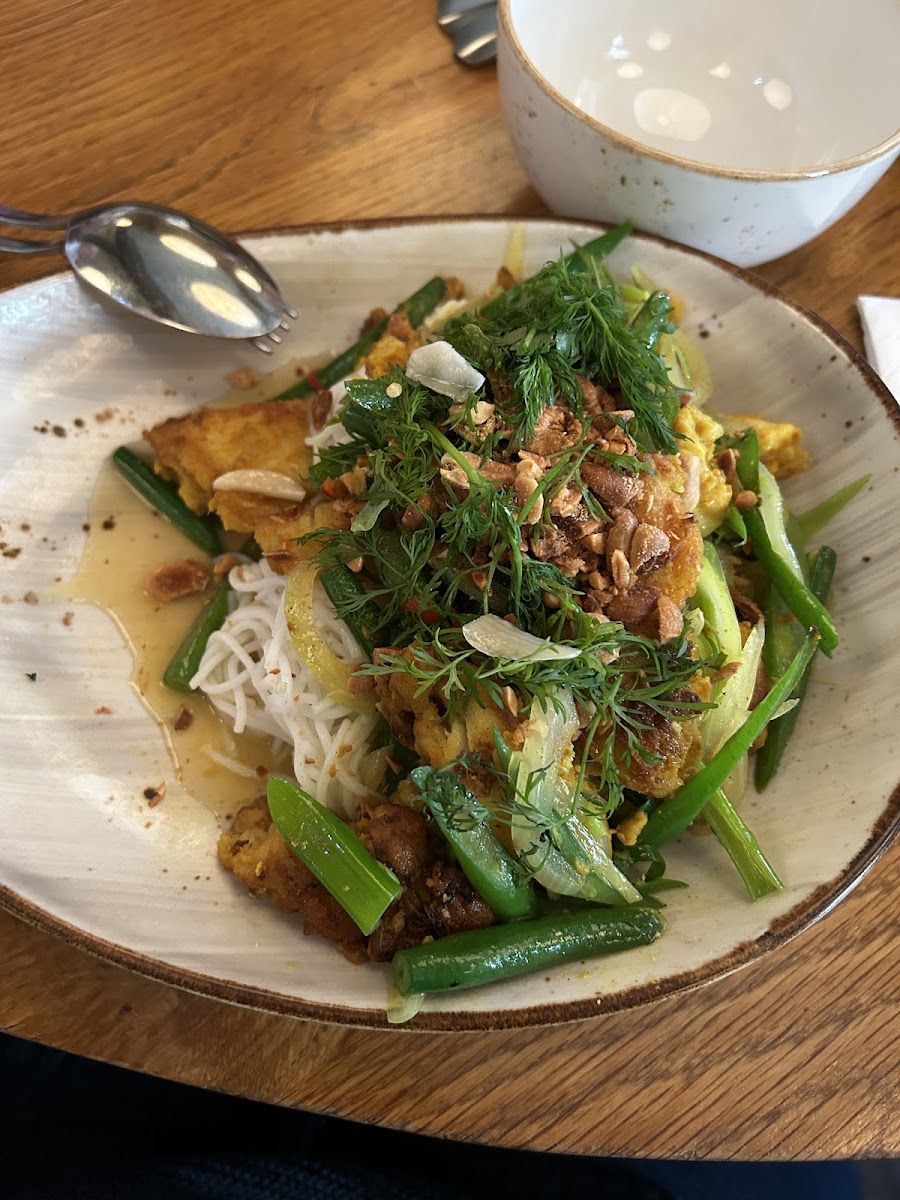 Wok Seared Market Fish (thrmeric, ginger, galangai, green beans, peanuts, rice noodles)