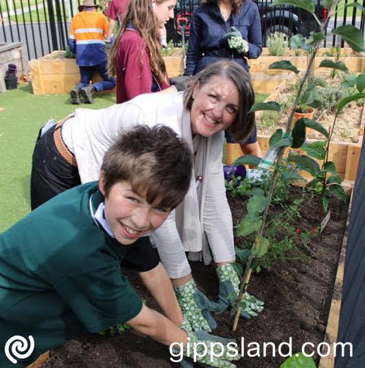 Community Gardens offer various benefits for community health and wellbeing. The Draft Guidelines establish criteria, roles, and application process, please provide feedback