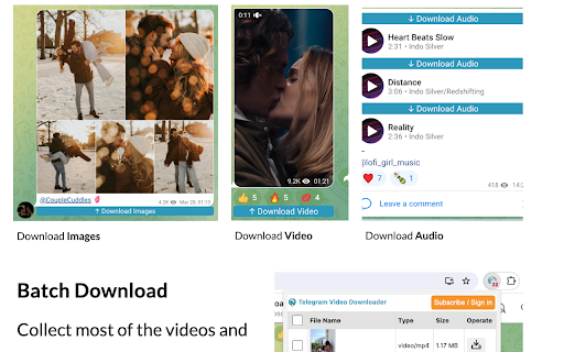 Telegram Video Downloader - TVD