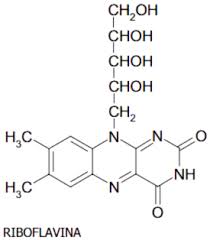 Resultado de imagem para vitamina b2 estrutura molecular riboflavina