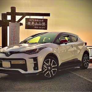 C-HR NGX10