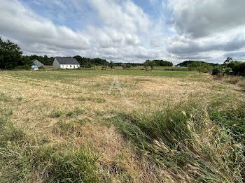 terrain à Gennes-Val-de-Loire (49)