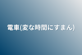 電車(変な時間にすまん)