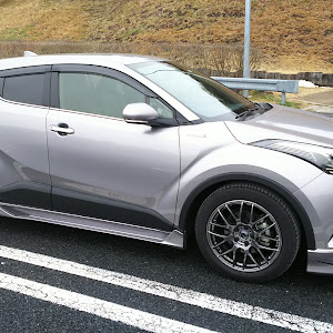 C-HR ZYX10