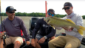 Casting Cranks: Late Spring River Walleyes thumbnail