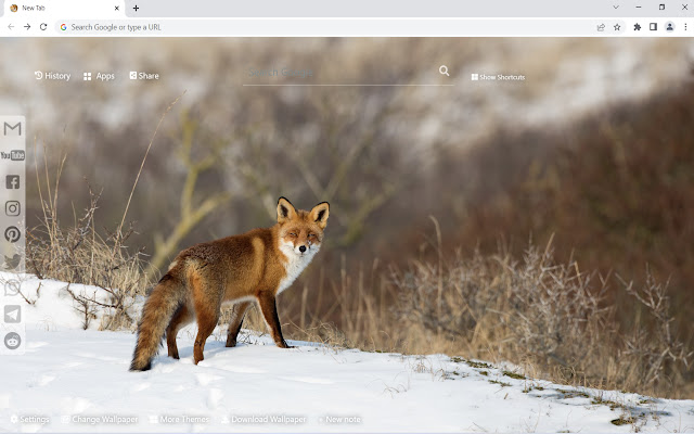 Fox Wallpaper New Tab chrome extension