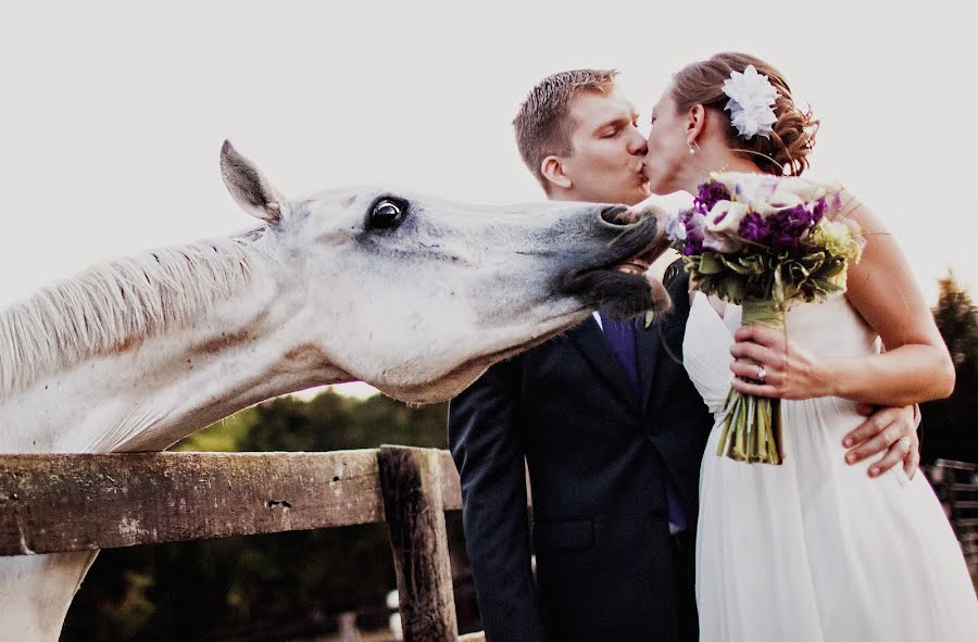 Wedding photographer Ken Pak (kenpak). Photo of 18 March 2015