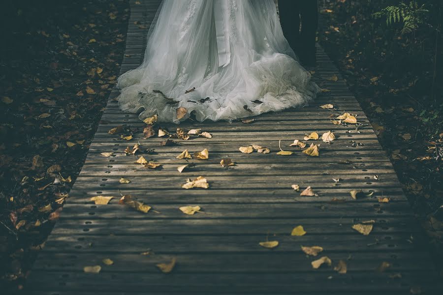 Fotografo di matrimoni Alberto Parejo (parejophotos). Foto del 8 agosto 2015