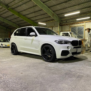 X5 F15