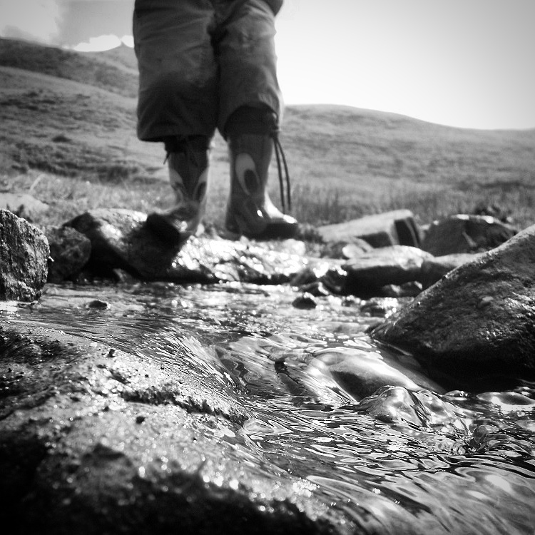 Terra che mi dai Acqua di Gabo