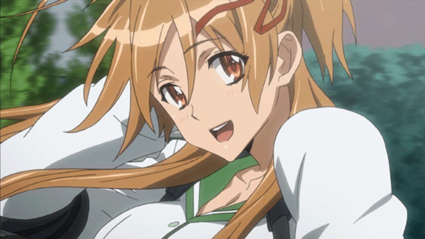 Highschool of the Dead Anime Reviews