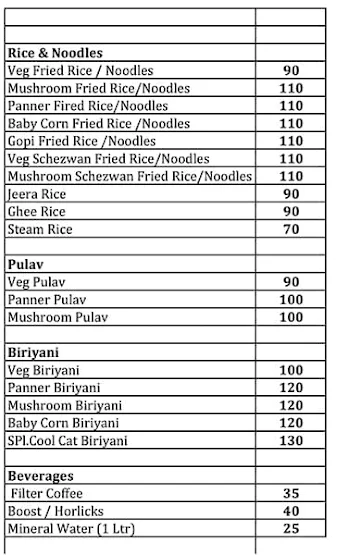 Cool Cat Veg Hotels menu 