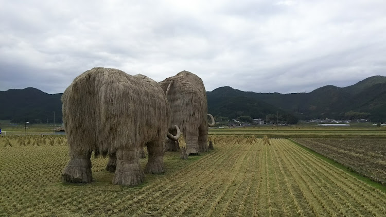 の投稿画像6枚目