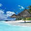 Beach new tab HD pop landscape theme