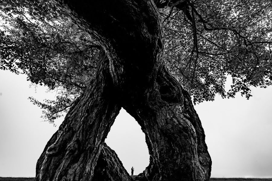 Photographe de mariage Catalin Gogan (gogancatalin). Photo du 5 octobre 2022