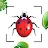 Bug Identifier Bug Finder icon