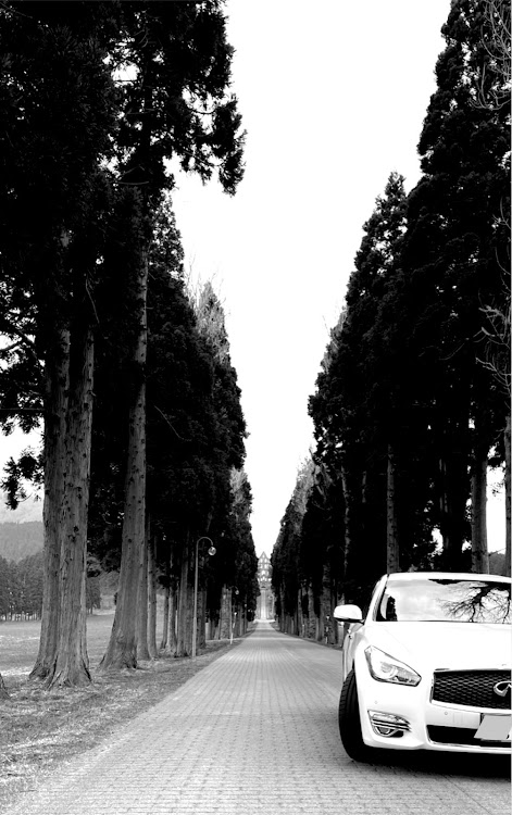 フーガのコロナウイルスに負けるな・モノクロ祭り便乗・モノクロ半顔イケメンリレー・半ケツ🍑❤️に関するカスタム事例の投稿画像4枚目