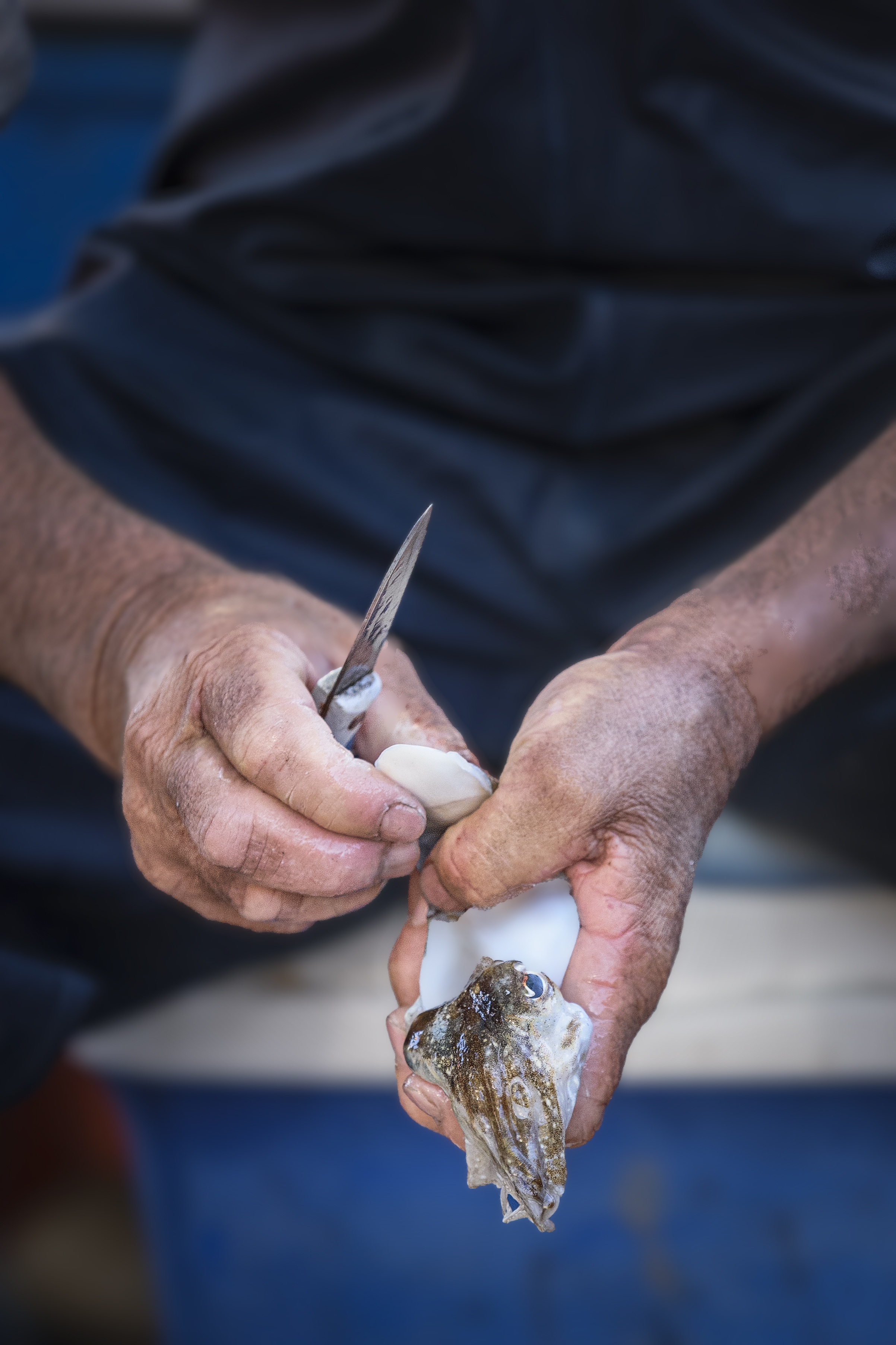 Il Pescatore di ysaak66