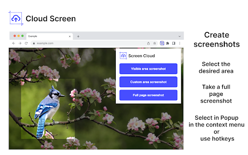 Cloud Screen - screenshots quickly