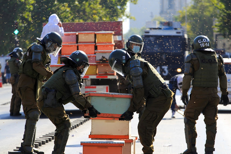 Riot police remove honeycombs during a protest after beekeepers who demanded government measures to face the persistent drought that affects the country blocked the street with honeycombs full of bees in front of the Chilean presidential palace, in Santiago, Chile, January 3, 2022.