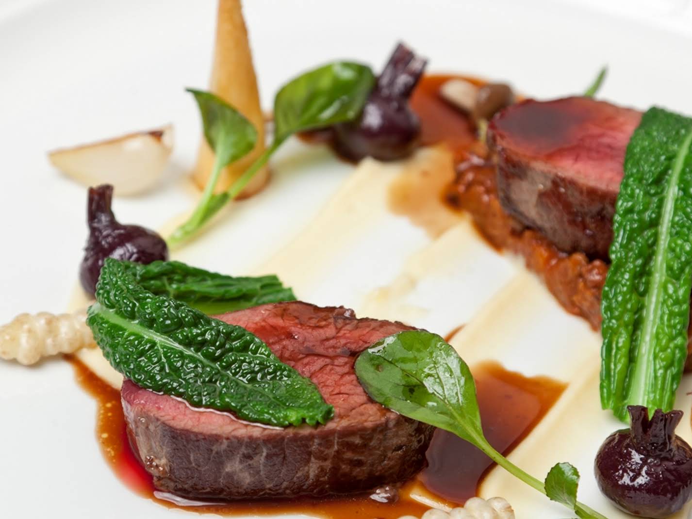 Sløset beskytte Ledningsevne 10 Best Venison Loin Recipes | Yummly