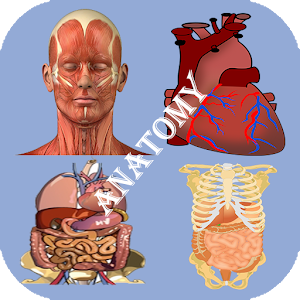 Download Best Anatomy Learning For PC Windows and Mac