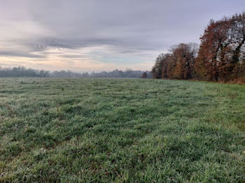 terrain à Boisgervilly (35)