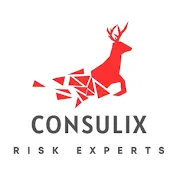 Consulix Ltd Logo