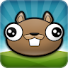 Noogra Nuts - The Squirrel icon