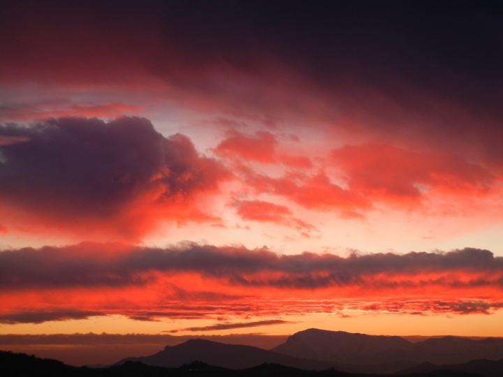 Rosso. di veronica.er