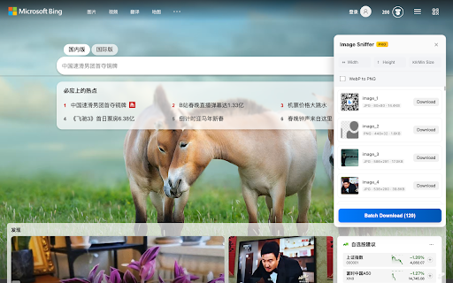 Image Sniffer - Batch Image Downloader screenshot 2