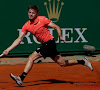 ? David Goffin stoot door, maar maakt het zichzelf nog knap lastig