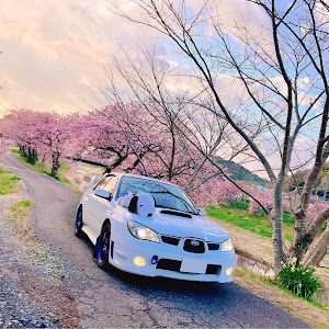 インプレッサ WRX GDA