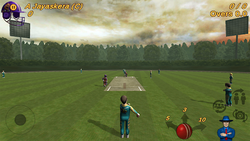 Screenshot Cricket Evolution Pro