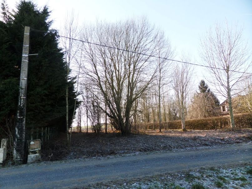 Vente terrain  1591 m² à Chatillon-sur-morin (51310), 50 000 €